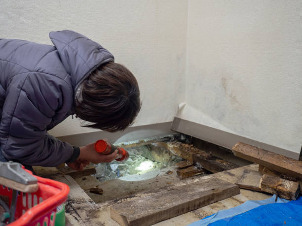 Best Airborne Mold Testing  in Bethany, OR