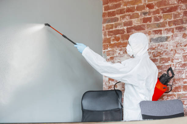 Best HVAC Mold Inspection and Cleaning  in Bethany, OR