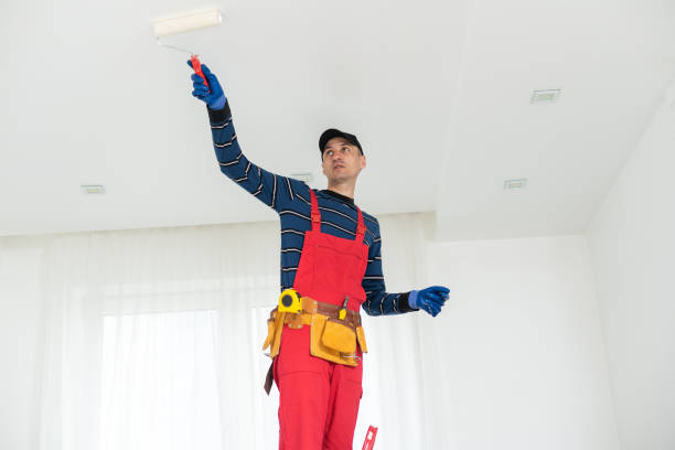 Best Black Mold Removal  in Bethany, OR