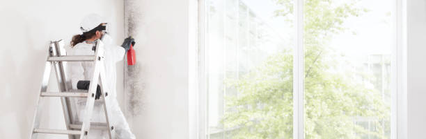 Best Water Damage & Mold Remediation  in Bethany, OR